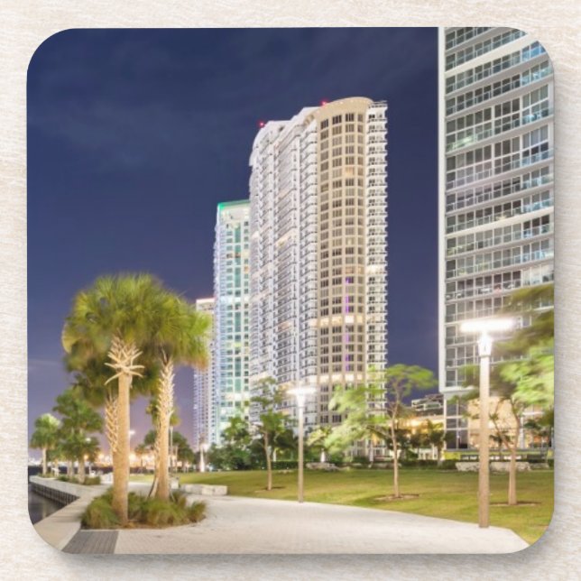 Buildings along the Miami River Riverwalk Coaster (Front)