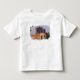 Buland Darwaza Gate of Victory) to the Dargah Toddler T-Shirt