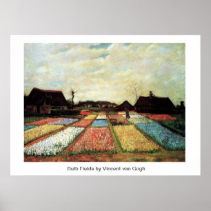 Bulb Fields by Vincent van Gogh. Poster