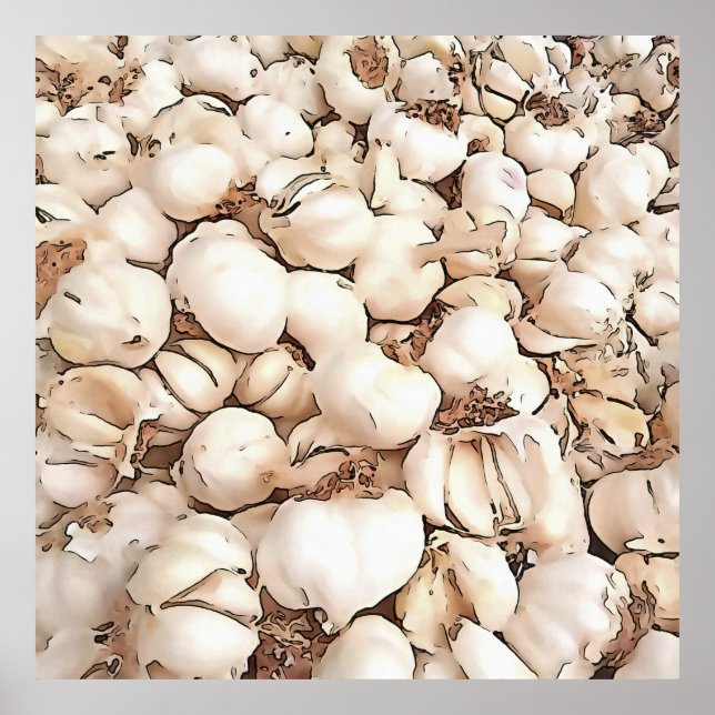 Bulbs Of Garlic Acrylic Art Poster (Front)