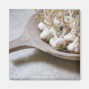 Bulbs of garlic in an earthenware bowl magnet