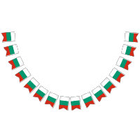 Bulgaria Flag