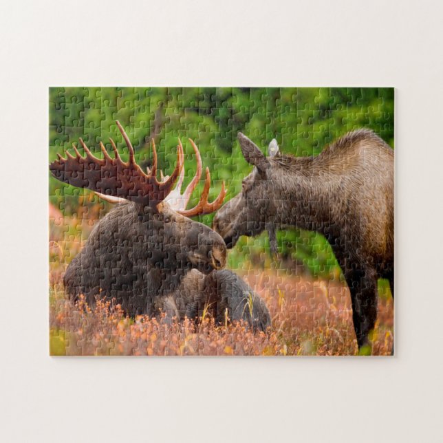 Bull and Cow Moose Alaska. Jigsaw Puzzle (Horizontal)