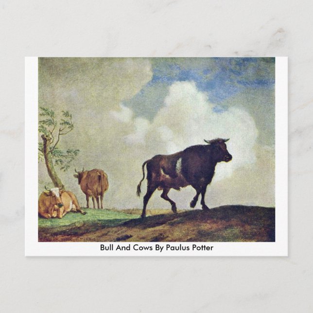 Bull And Cows By Paulus Potter Postcard (Front)