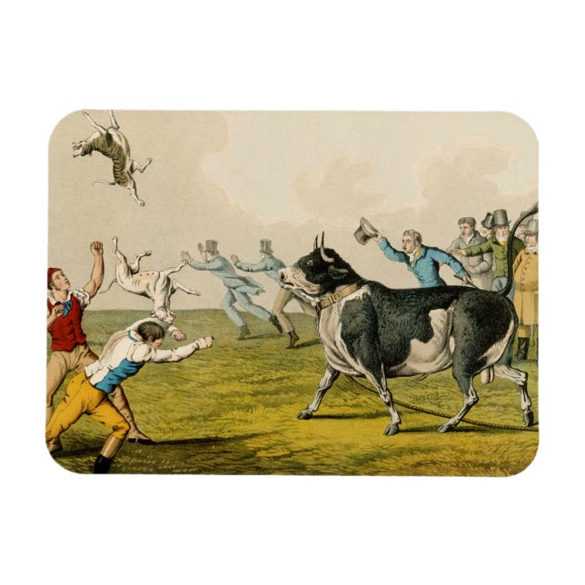 'Bull Baiting', pub. by Thomas McLean, 1820, (prin Magnet (Horizontal)