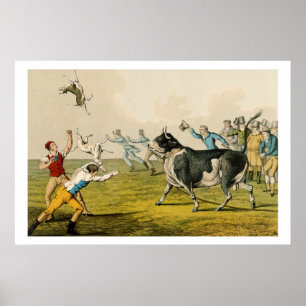 'Bull Baiting', pub. by Thomas McLean, 1820, (prin Poster