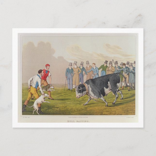 'Bull Baiting', pub.by Thomas McLean, 1820, (print Postcard (Front)