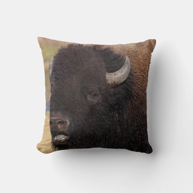 bull bison talking cushion (Front)