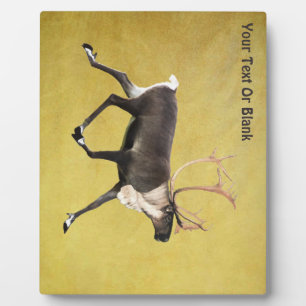 Bull Caribou Plaque