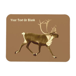 Bull Caribou - Sepia Magnet