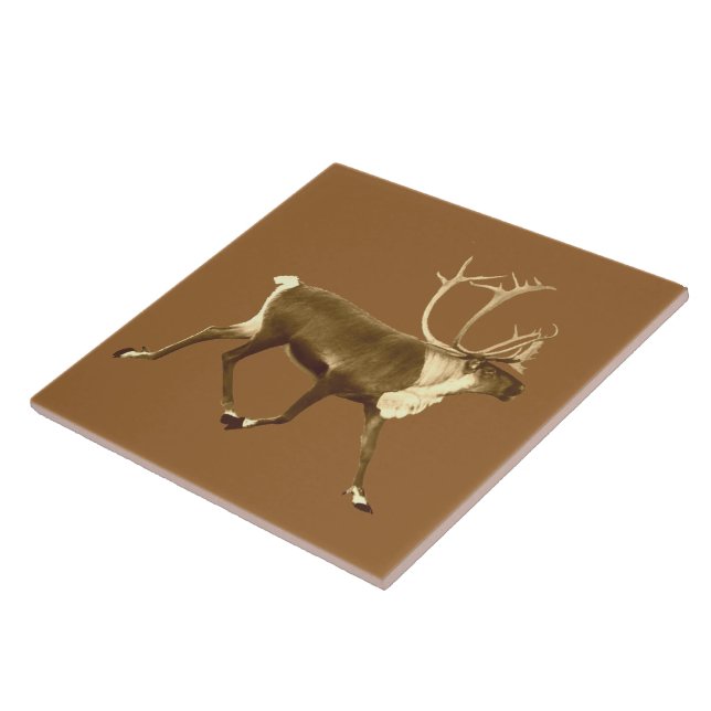Bull Caribou - Sepia Tile (Side)