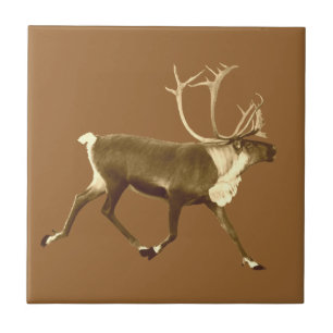 Bull Caribou - Sepia Tile