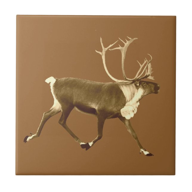 Bull Caribou - Sepia Tile (Front)