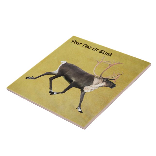 Bull Caribou Tile (Side)