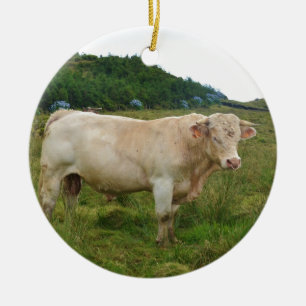 Bull Ceramic Ornament