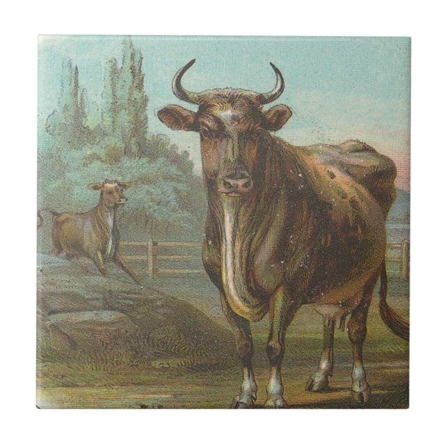 Bull Ceramic Tile (Front)