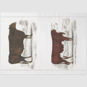 Bull Cow Ephemera Decoupage Vintage Farm Tissue Paper