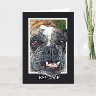 Bull Dog Birthday humour Card