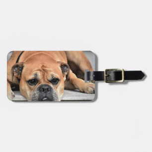 Bull Dog Luggage Tag
