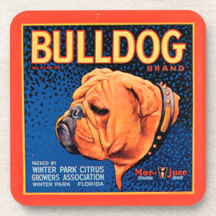 Bull Dog on a Blue Background Coaster