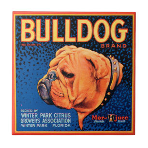 Bull Dog on a Blue Background Tile