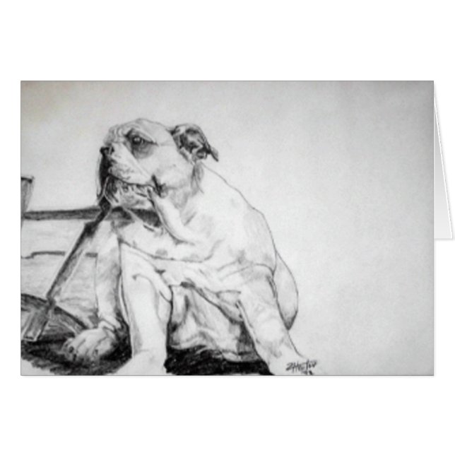 Bull Dog Puppy (Front Horizontal)