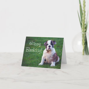 Bull Dog Puppy Greeting card
