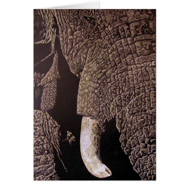 Bull Elephant (Front)