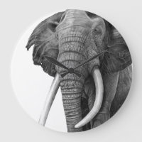 Bull elephant - Drawing in pencil