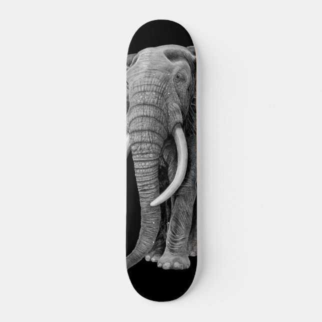 Bull elephant - Drawing in pencil Skateboard (Front)