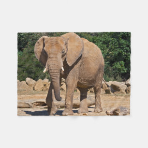 Bull Elephant Fleece Blanket