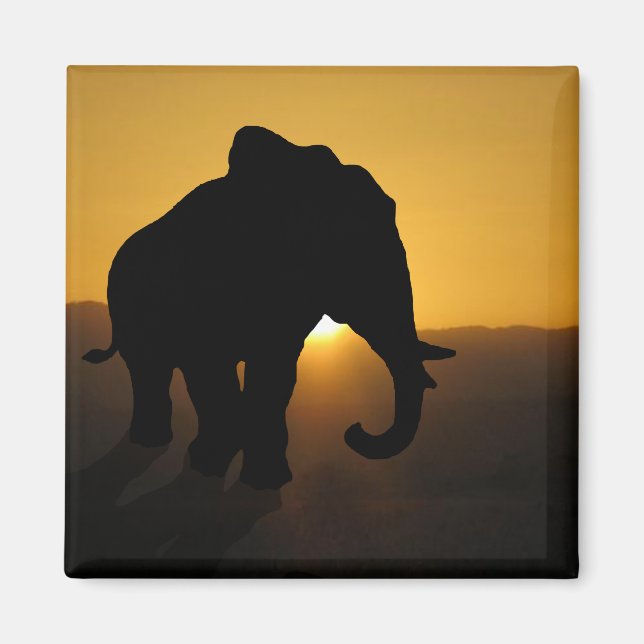 Bull elephant magnet (Front)