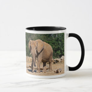 Bull Elephant Mug