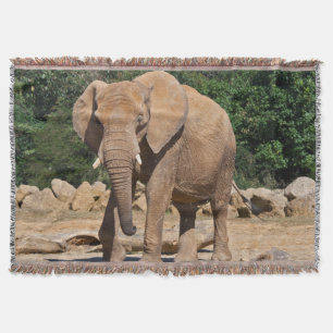 Bull Elephant Throw Blanket