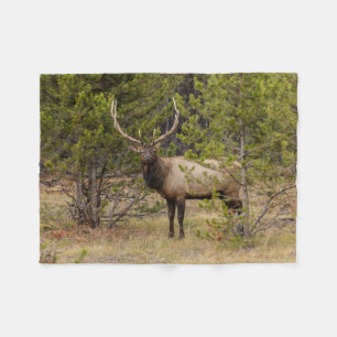 Bull Elk At Yellowstone National Park Fleece Blanket