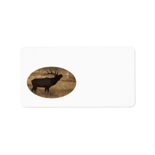Bull elk bugling in silhouette label (Front)