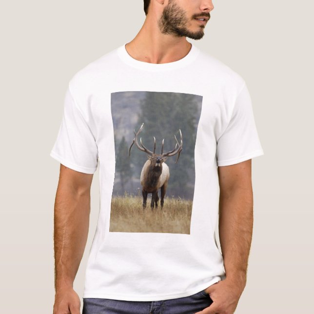 Bull Elk bugling, Yellowstone NP, Wyoming 2 T-Shirt (Front)