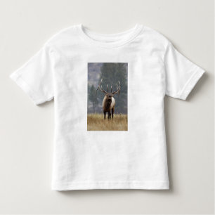 Bull Elk bugling, Yellowstone NP, Wyoming 2 Toddler T-Shirt