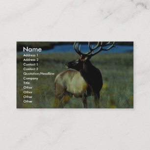 Bull elk business card