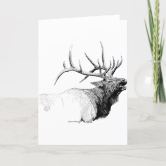 Bull Elk Card