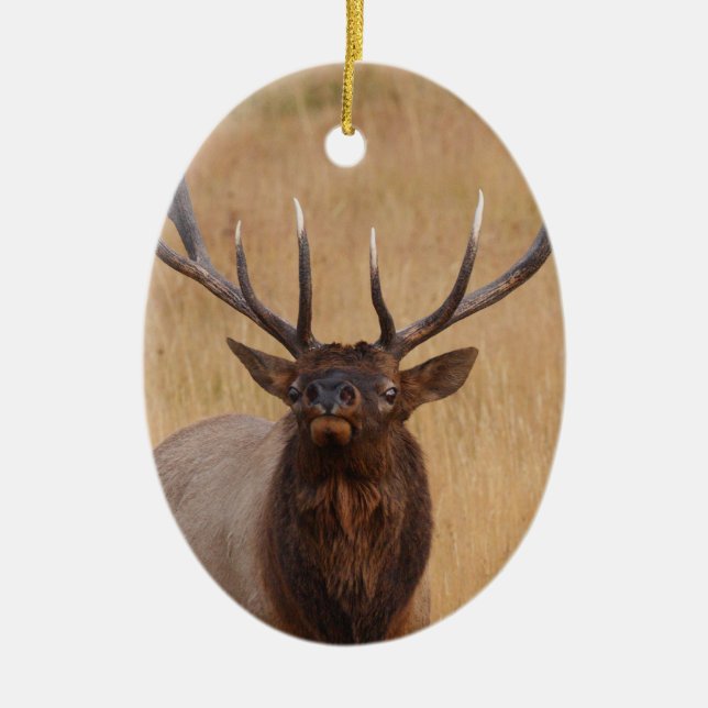bull elk ceramic tree decoration (Front)