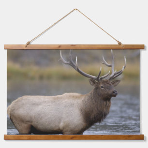 Bull Elk Crossing Yellowstone National Park Hanging Tapestry