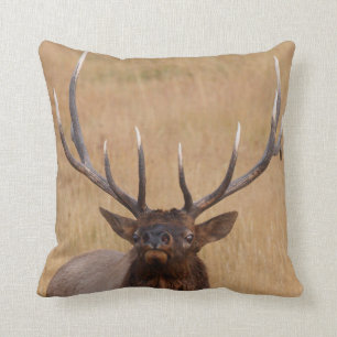 bull elk cushion