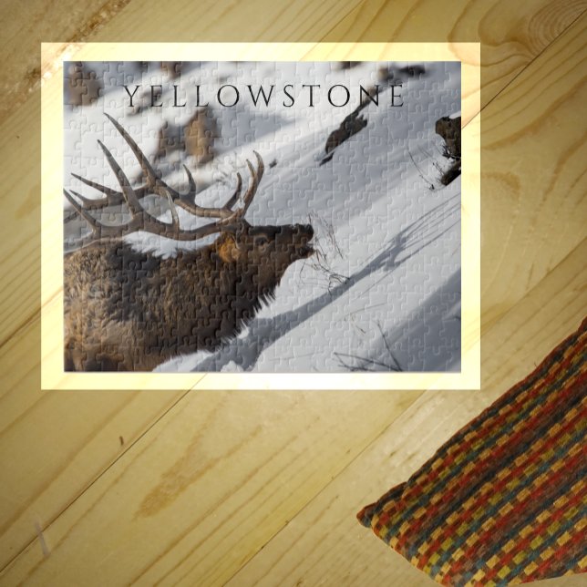 Bull Elk Grazing on Snowy Slope, Yellowstone Jigsaw Puzzle (Creator Uploaded)