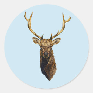 Bull Elk Head animal nature wildlife art Classic Round Sticker