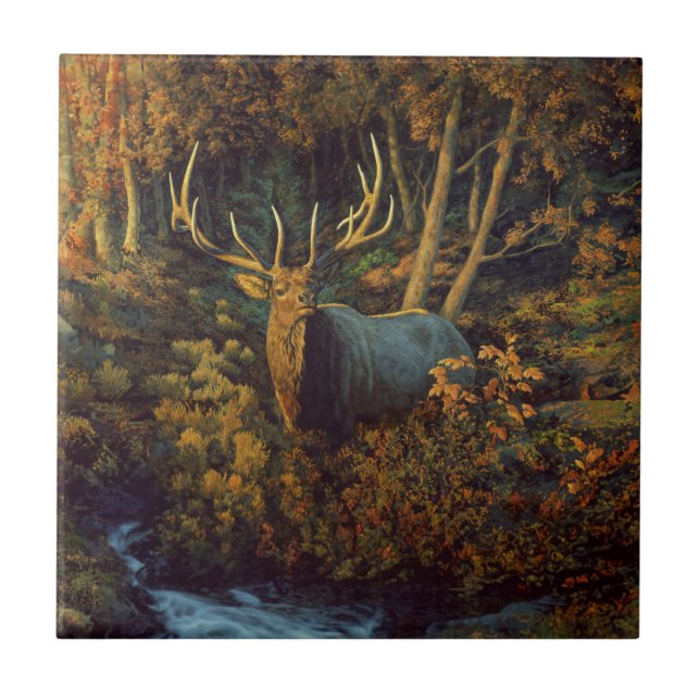 Bull Elk in Autumn Forest Ceramic Tile (Front)