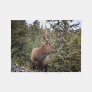 Bull Elk In Jasper Fleece Blanket
