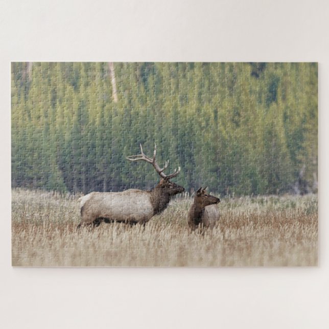 Bull Elk in Meadow | Yellowstone National Park Jigsaw Puzzle (Horizontal)