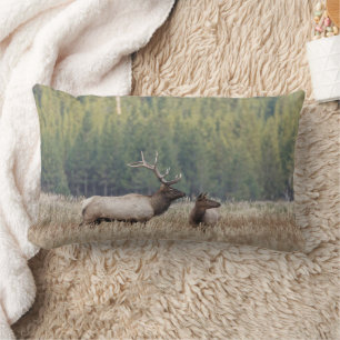 Bull Elk in Meadow   Yellowstone National Park Lumbar Cushion