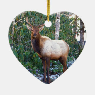 Bull Elk in Rhododendrons Ceramic Tree Decoration